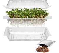 Germoglio verde Czuprynka con semi di ravanello