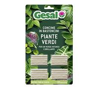 GESAL Concime in Bastoncini, Per Piante Verdi in Vaso, da Appartamento, Balcone e Giardino, Con Guano, 20 Bastoncini (18 g)