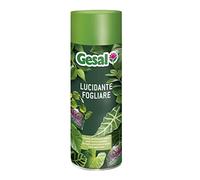 GESAL Lucidante Fogliare, Per Foglie più Brillanti, Nebulizzazione Delicata, 250 ml