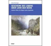 Geschenck des Lebens oder Lohn der Mühe. Adalbert Stifters «Mappe meines Urgroßvaters»