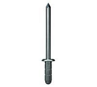 GESIPA 100 rivetti ciechi in acciaio inox (VA) Ø 4,0 x 10,0 mm PolyGrip® | Spessore del materiale rivettabile 0,5 - 6,5 mm | Rivetti in qualità industriale | Acquista rivetti cavi dai professionisti