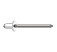 Gesipa 1433638 Rivetto Acciaio inox Acciaio inox 250 pz.