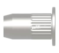 Gesipa 1433709 Occhiello M10 100 pz.
