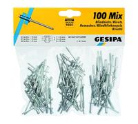 Gesipa Assortimento di rivetti ciechi, 100pz. Quantità:1