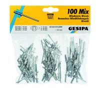 Gesipa Assortimento di rivetti ciechi, 100pz. Quantità:1