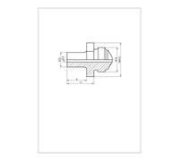 Gesipa Bocchino di ricambio V-17/29 (versione estesa da 8mm) Quantità:1