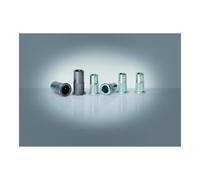 Gesipa Dadi per rivetti ciechi PolyGrip, acciaio zigrinato M 6x9x18 Quantità:250