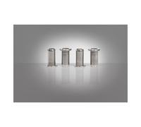Gesipa Dado per rivetti ciechi SoftGrip®, acciaio inox A4 M6x9x20 K16 KB 4,5-6,5 Quantità:100