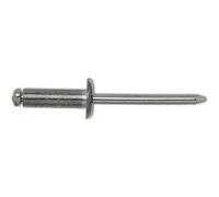 Gesipa Rivetti ciechi in alluminio/Nirosta a testa larga, 5 x 12 K 14 mm, 250 pezzi, (1433614)