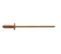 GESIPA | Rivetti ciechi in alluminio/VA parent (rame/bronzo, 4,0 x 12,0 mm)