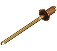 Gesipa Rivetti ciechi Mini Pack, rame/bronzo Quantità:1