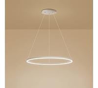 GESMOS Anello Singolo LED Lampada A Sospensione Nordico Moderno Cerchio Lampadario Regolabile Lampade Sospeso Per Soggiorno Isola Cucina Tavolo Da Pranzo(60CM 38W,White, Warm White)