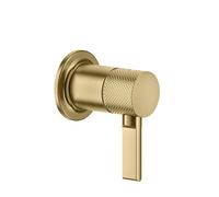Gessi Inciso - kit dinstallation fini pour mitigeur monocommande, 1 voie, sortie supérieure, 58109727, 58109727, Colorazione: Ottone spazzolato PVD