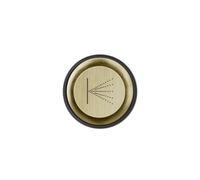 Gessi Venti20 Cache-bouton de commande Brouillard, montage au plafond, SP03290727, SP03290727, Colorazione: Ottone spazzolato PVD