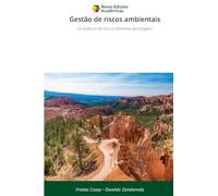 Gestão de riscos ambientais: Da essência de risco à diferentes abordagens