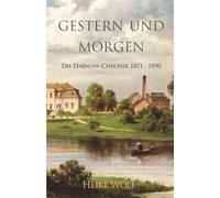 Gestern und Morgen: Die Dabnow-Chronik 1871 - 1890