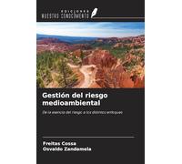 Gestión del riesgo medioambiental: De la esencia del riesgo a los distintos enfoques