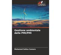 Gestione ambientale delle PMI/PMI