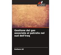 Gestione del gas associato al petrolio nel sud dell'Iraq