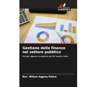 Gestione delle finanze nel settore pubblico: Principi, approcci e pratiche nel XXI secolo e oltre