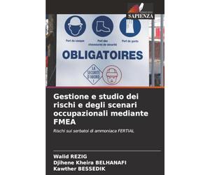 Gestione e studio dei rischi e degli scenari occupazionali mediante FMEA: Rischi sui serbatoi di ammoniaca FERTIAL