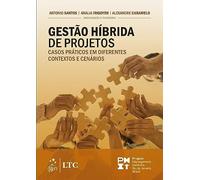 GESTIONE IBRIDA DEL PROGETTO