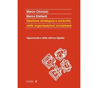 Gestione strategica e controllo nelle organizzazioni complesse. Opportunità e sfide nell'era digitale