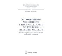 Gestioni pubbliche non entificate e specificità bancaria nell'esercizio del credito aggevolato