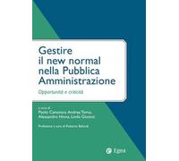 Gestire il new normal nella Pubblica Amministrazione. Opportunità e criticità