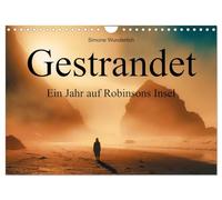 Gestrandet - Ein Jahr auf Robinsons Insel (Wandkalender 2026 DIN A4 quer), CALVENDO Monatskalender: Ein Ausflug in tropische Gefilde!