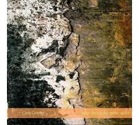 Gestrin Chris - Chris Gestrin After The City Has Gone : Quiet