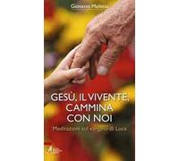 Gesù, il vivente, cammina con noi. Meditazioni sul Vangelo di Luca
