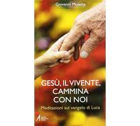 Gesù, il vivente, cammina con noi. Meditazioni sul Vangelo di Luca