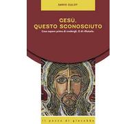 Gesù, Questo Sconosciuto. Cosa Sapere Prima Di Credergli. O Di Rifiutarlo -