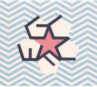 Get Cape. Wear Cape. Fly Young Adult (Vinyl LP) 12" Album