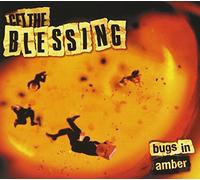 Get The Blessing - Bugs In Amber