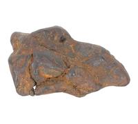 GETAJGHSD Campione di Meteorite Vero da 2-3 Cm, Piccolo Ornamento da Scrivania e Materiale Didattico Scientifico per Aule Scolastiche, Esemplare Naturale per Collezione e Ricerca Educativa