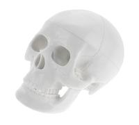 GETAJGHSD Mini Per Decorazioni Halloween e Insegnamento Scheletro Per Mostre Accessorio Per e Lezioni Anatomia