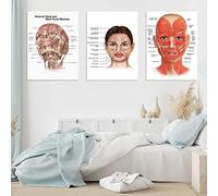 GETBEE Collo anteriore e muscoli facciali della testa umana Stampe, Doctor of Education Science poster su tela, pittura medica decorativa, decorazione regalo chirurgo 40x50cmx3-No Frame