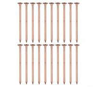 Gettimore Chiodi efficaci per uccidere ceppi d'albero, dimensioni 65 mm, punte per eliminare rapidamente le radici, 30 pezzi (B)