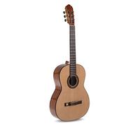 Gewa Pro Arte GC210A