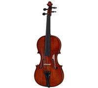Gewa Georg Walther Violin RB
