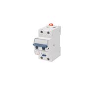 Gewiss Magnetotermico differenziale GW94029 Curva C 25A 2P 30mA AC 4,5kA 2 moduli