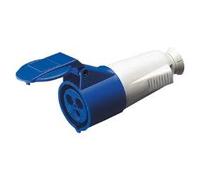 Gewiss GW62004 connettore elettrico standard 16 A 2P+T Dritto