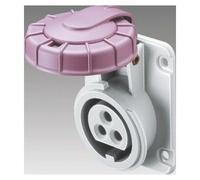 Presa fissa da incasso Gewiss GW62365 2p 16a 20-60hz viola S.R. cablaggio a vite