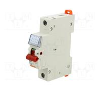 GEWISS GW96106 Sezionatore isolante