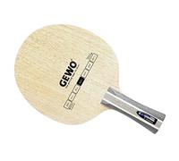 GEWO di Legno su ordinazione Ibrida di Carbonio A/velocità all +, Opzioni concavo