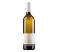 Gewürztraminer 2025 - Cantina Muri Gries