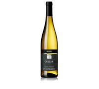 Gewürztraminer 'Ceslar' 2025 - Cantina di Bolzano
