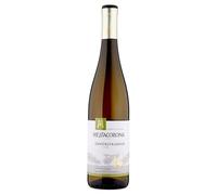 GEWURTZTRAMINER TRENTINO 75 cl I MEZZACORONA